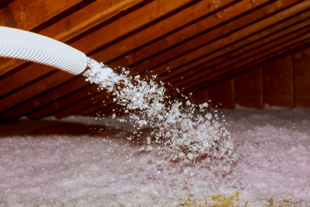 Types of Insulation We Offer in Black Jack, MO