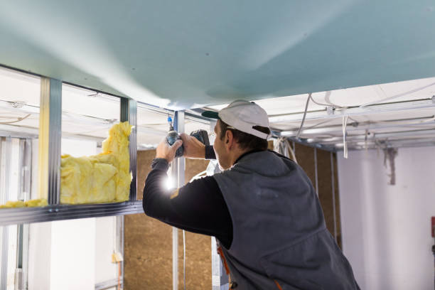Best Blown-in Insulation in Black Jack, MO