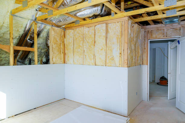 Best Residential Insulation in Black Jack, MO
