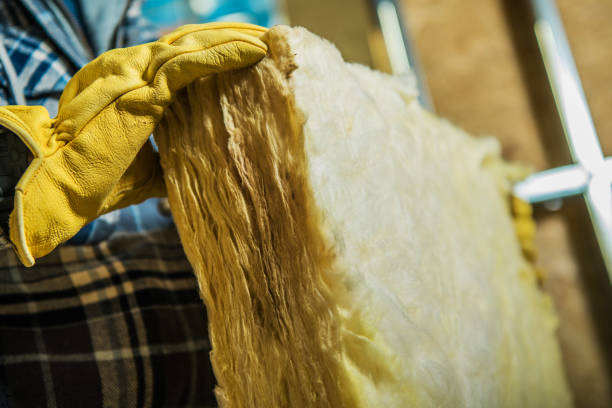 Trusted Black Jack, MO Insulation Contractor Experts