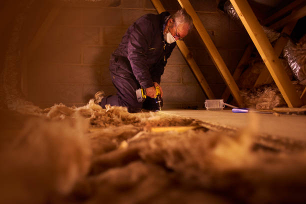 Best Fiberglass Insulation in Black Jack, MO